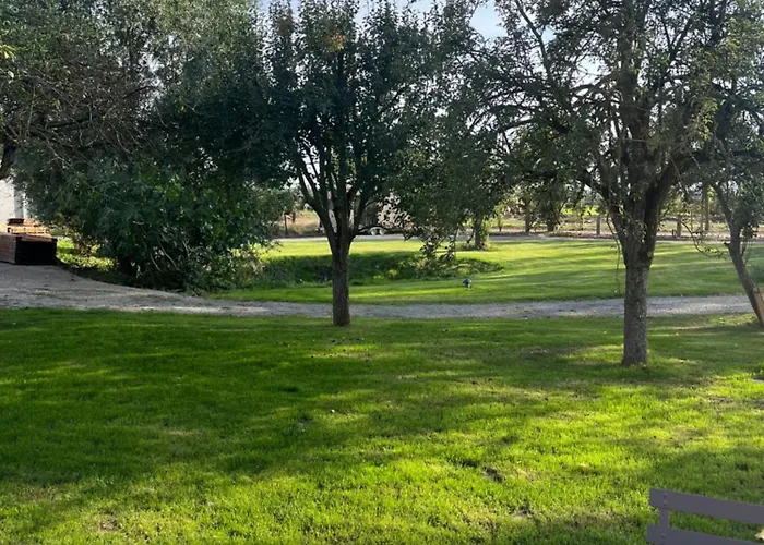 La Tiny Francaise, Nature, Confort, Terrasse Faumont